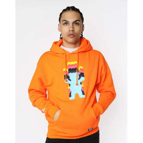 Grizzly‎ Prism OG Bear Hoodie in Orange - Picture 1 of 7
